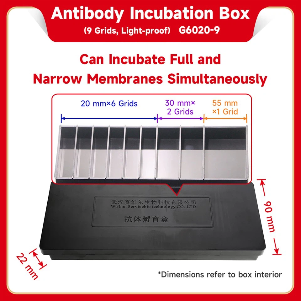 Antibody Incubation Box (9 Grids Light-Proof)