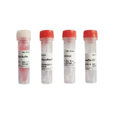 Tek Adımda Hızlı Mikoplazma Tespit Kiti (İzotermal Amplifikasyon Yöntemi)