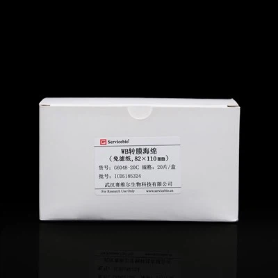 WB Transfer Süngeri (Filtre Kağıdısız, 82×110mm)